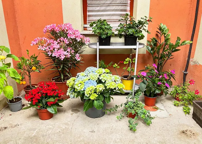 Balazs Guesthouse - In A Green Area, With Our Own Garden - Next To Metro 4 Station Budapest